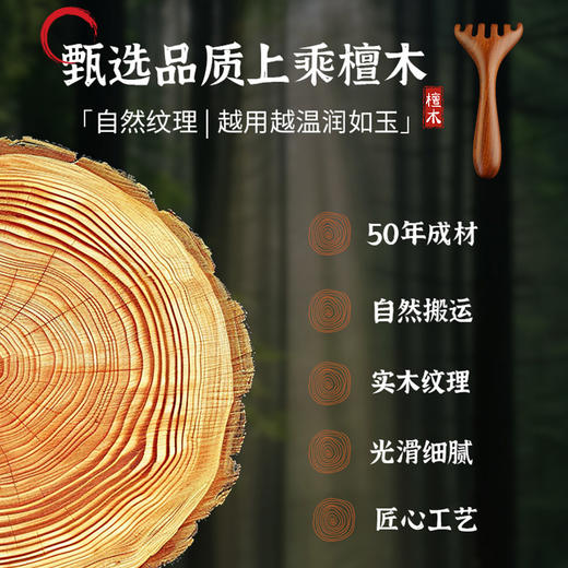 檀木经络按摩梳 商品图2