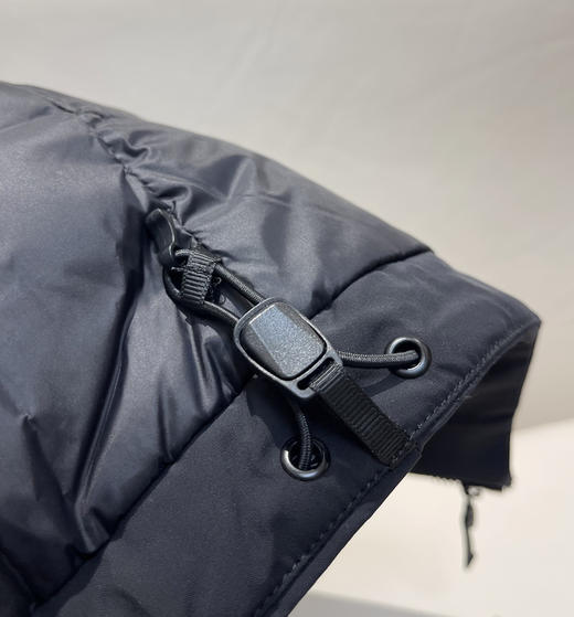 原单鸟家Epsilon Down Hoody羽绒服013001 商品图5