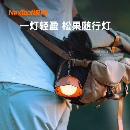 纳拓松果灯露营氛围灯便携式户外照明灯床头小夜灯手提灯背包挂灯 商品图0