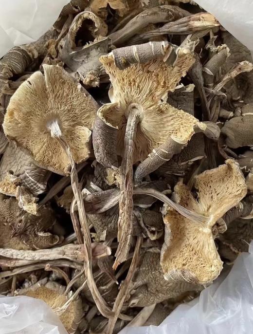 苍耕洱作野生干鸡枞100g 商品图5