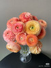 预售1号到货香槟色洋牡丹一扎10支 支长40厘米 商品缩略图1