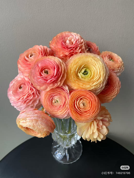 预售1号到货香槟色洋牡丹一扎10支 支长40厘米 商品图1