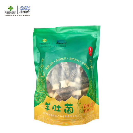 苍耕洱作羊肚菌100g 商品图0
