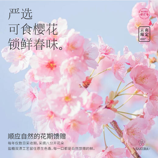 嘉华鲜花饼 海盐樱花塔鲜花饼礼盒 春日礼盒  140g 商品图5