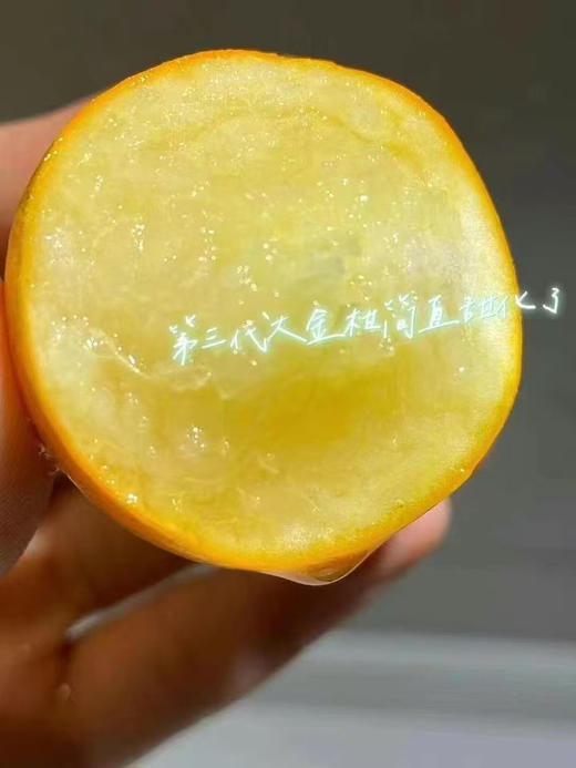 极蜜大龙珠，脆蜜金柑大大果 一箱25枚 商品图8