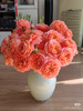 现货杏色果汁泡泡玫瑰一扎10支支长50厘米 商品缩略图0