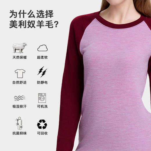 IGUANA 260G可机洗美利奴羊毛秋冬拼色女款  男款  T恤 商品图1