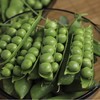 【清甜脆嫩❗️粒粒饱满】云南青豌豆荚豌豆新鲜带壳青豆角粒农家蔬菜水果甜豆荚嫩。jc 商品缩略图2