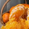 【肉色橙红❗️细腻无渣】四川甘平柑橘皇后小金牛当季摘新鲜水果耙耙柑粑粑。jc 商品缩略图1