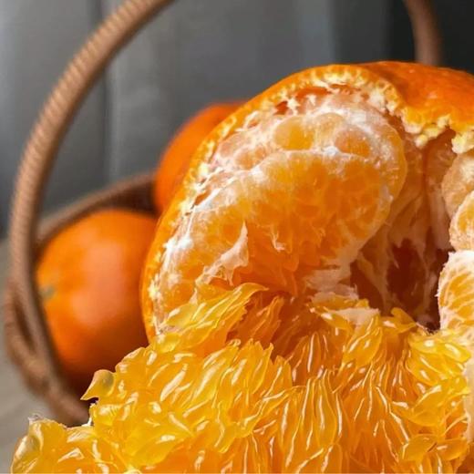 【肉色橙红❗️细腻无渣】四川甘平柑橘皇后小金牛当季摘新鲜水果耙耙柑粑粑。jc 商品图1