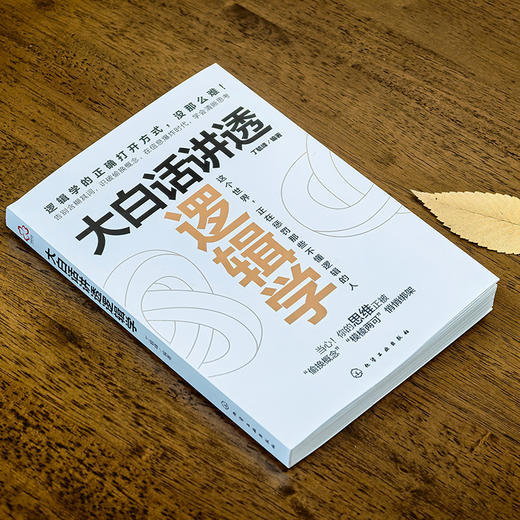 大白话讲透逻辑学 商品图2