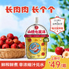 小碗山楂七星汤 古方新做7膳合一 180分钟鲜榨慢煮 好味口好吸收 商品缩略图0