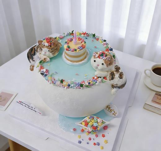 喵星人许愿池卡通蛋糕-低糖处理无添加 商品图2