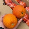 赣南脐橙 商品缩略图0