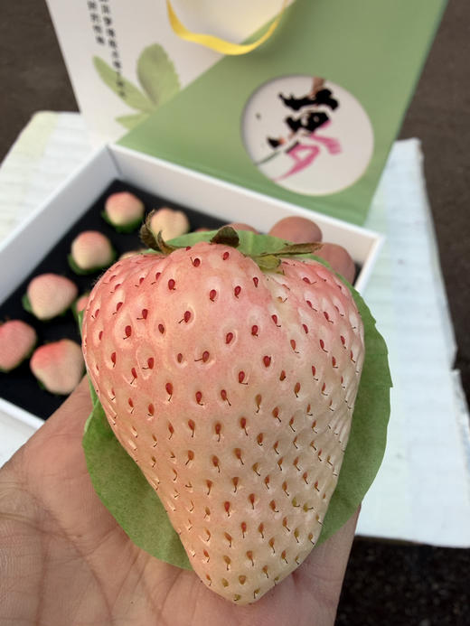 粉色妖姬大草莓 商品图2