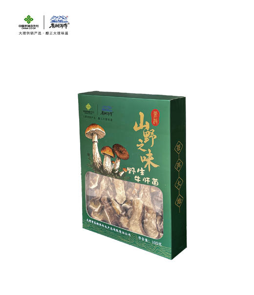 苍耕洱作美味牛肝菌100g 商品图2