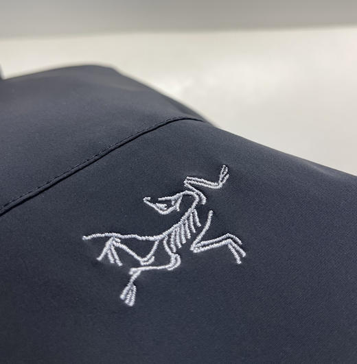 原单鸟家Epsilon Down Hoody羽绒服013001 商品图7