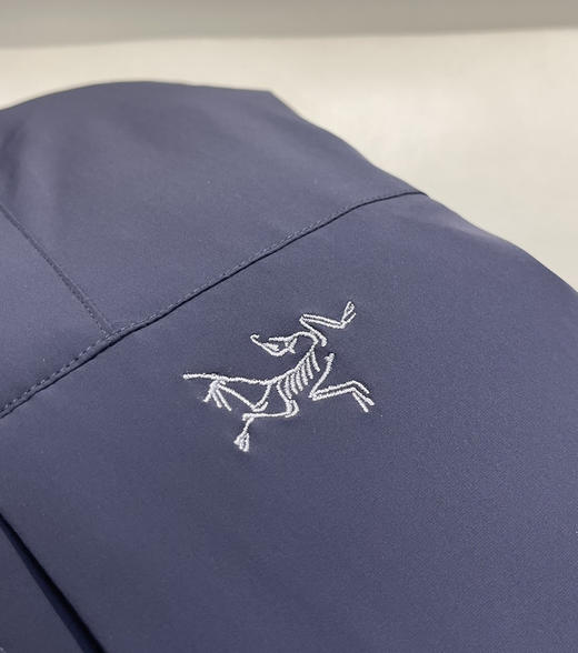 原单鸟家Epsilon Down Hoody羽绒服013001 商品图13