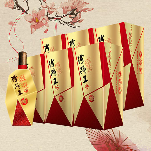 汾阳王 42度私藏500ml*6瓶+红钻500ml*6瓶 商品图1