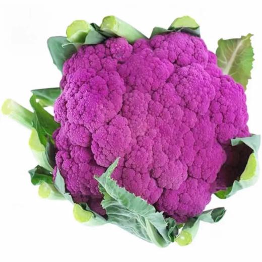 【HFS】紫花菜 750±80g/份 太平海农业 商品图0