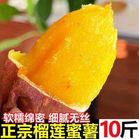 【软糯绵密❗️细腻无丝】云南黄金榴莲蜜薯玛莎莉当季新鲜10斤沙地蜜薯地瓜番薯烤红薯。jc