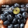  企鹅市集|云南浓香蓝莓 中果/大果/超大果多规格可选 脆甜饱满 人工新鲜采摘 商品缩略图3