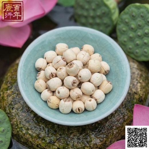 莲子（250克/袋） 商品图0