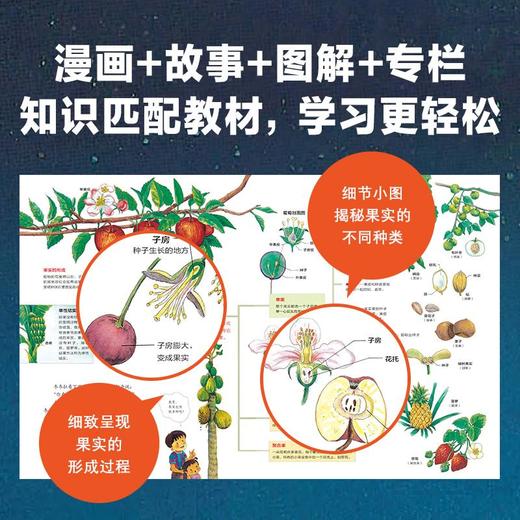 小学生科学漫画大书第2辑6-12岁中小学生科普百科课外阅读 商品图2