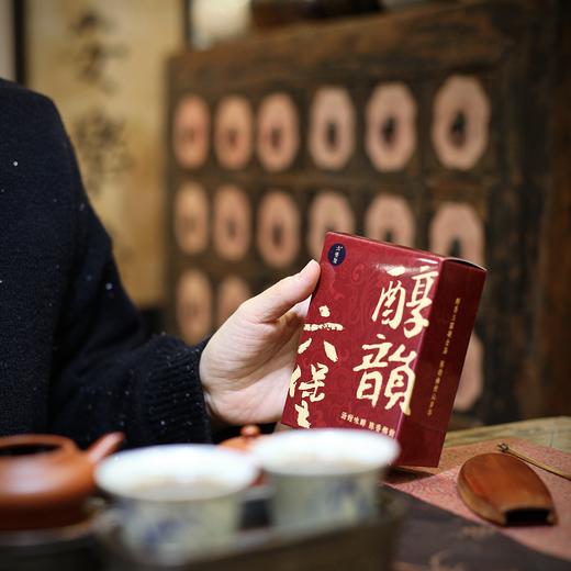 六堡聚 2008年 醇韵六堡茶（100g/盒）六堡聚私房茶 商品图0