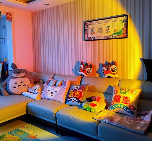 国风抱枕合集来袭，妥妥的新年必备~ 发货时效3-5天 商品图2