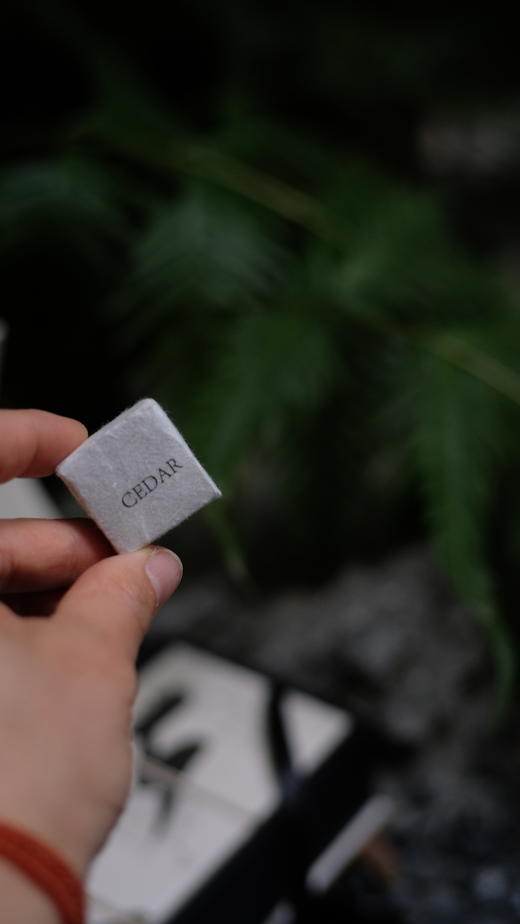 雪松（普洱熟茶）200g 商品图3