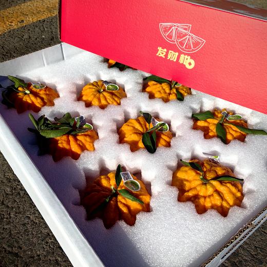 悠乐果品牌特级发财柑橘桔礼盒顺丰包邮*2.5kg 商品图4