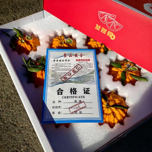 悠乐果品牌特级发财柑橘桔礼盒顺丰包邮*2.5kg 商品图3