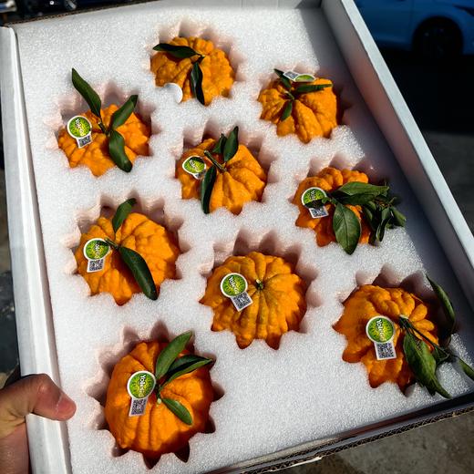 悠乐果品牌特级发财柑橘桔礼盒顺丰包邮*2.5kg 商品图2