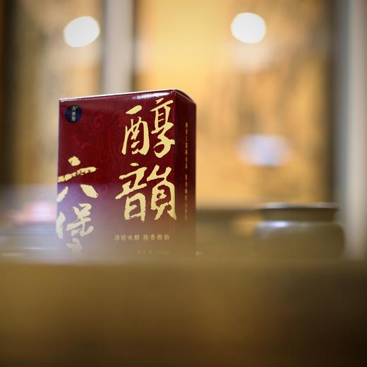 六堡聚 2008年 醇韵六堡茶（100g/盒）六堡聚私房茶 商品图3