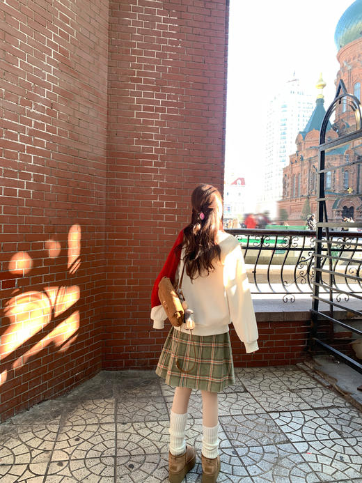 <曾小咸推荐>2.13现货秒杀 ！微信超特价！韩系刺绣加绒卫衣 日常189.99 立减100 秒杀89.99！！ 商品图5