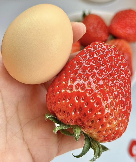 爱马仕奶油红草莓 商品图0