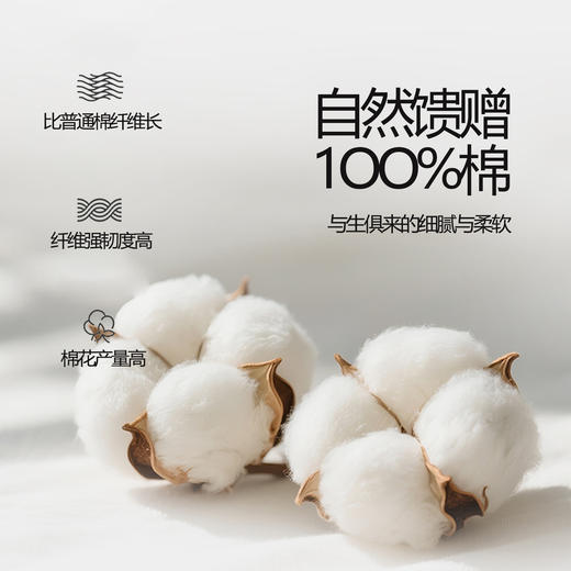 【品牌直发】加倍生活 全棉纯棉提花四件套-里拉系列 6色可选 yc0205002 商品图3