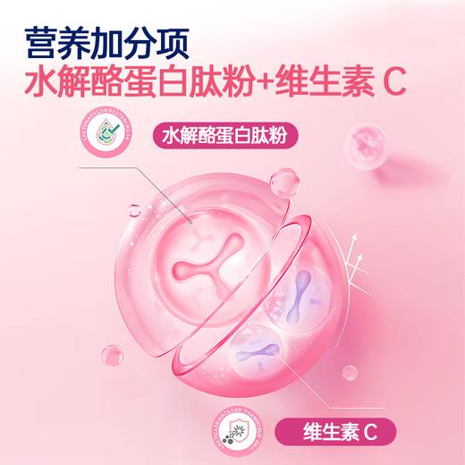 哈德爱因斯坦活性益生菌冻干粉 4500亿CFU活性益生菌添加冻干粉乳酸菌粉 一盒装 2g*15包(成人专用款) 商品图3