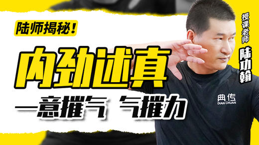 内劲述真—意摧气，气摧力 商品图0