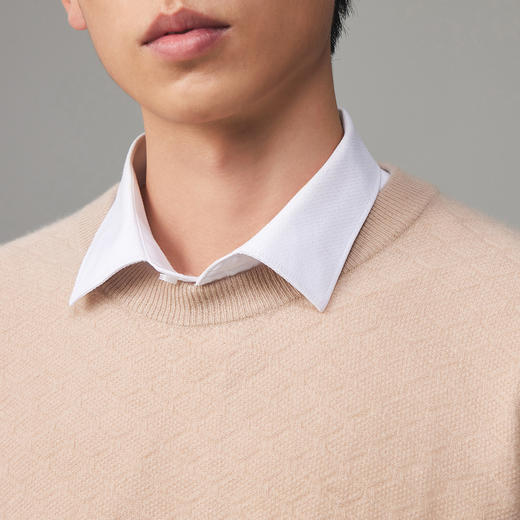 PALUOPO/PL 100%山羊绒圆领男衫ET23087R-A/约重260g帕罗 商品图3