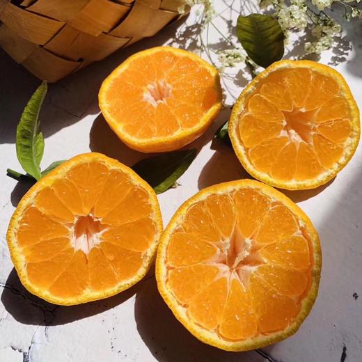 【CHUAN】四川不知火丑橘【精品果】9斤果王85mm+顺丰快递 商品图4