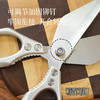 【可夹可剪  一把多用】精工家用厨房剪刀  加宽防滑贴合手型用着舒服  23.6*9.5CM 预售3天 商品缩略图3
