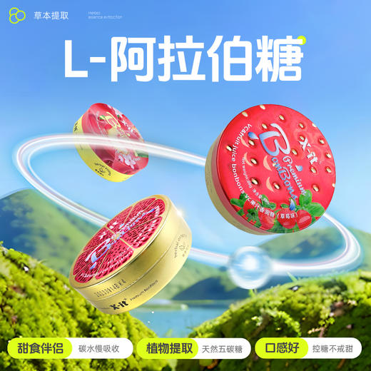X-it 麦卢卡蜜蜂VC果汁香润糖 天然草本植物精华 清新口气薄荷润喉护嗓  水果糖硬糖 商品图7