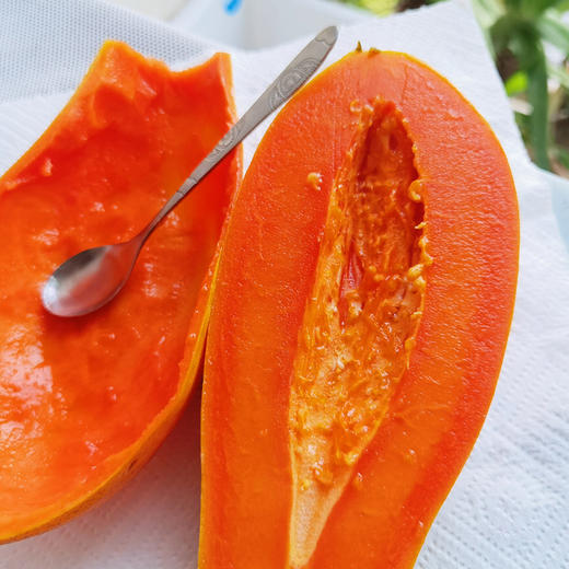 【树熟木瓜】皮薄肉厚口感嫩滑 滋补养颜美味健康 商品图6