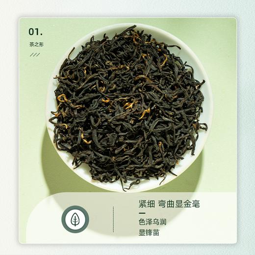 【祁门红茶】乌润卷曲金毫显露 蜜香浓郁醇厚回甘 商品图1