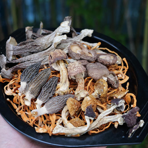 【菌香浓郁❗️营养丰富】风味菌汤包70G羊肚菌鹿茸菇姬松茸土特产煲汤营养食材。jc 商品图1
