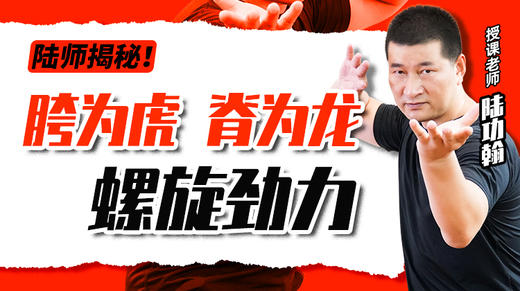 【胯为虎 脊为龙】螺旋劲力 商品图0