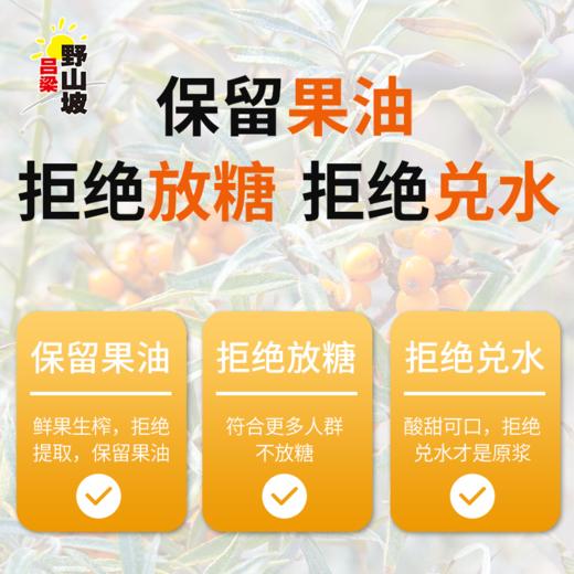 吕梁野山坡沙棘原浆 商品图6