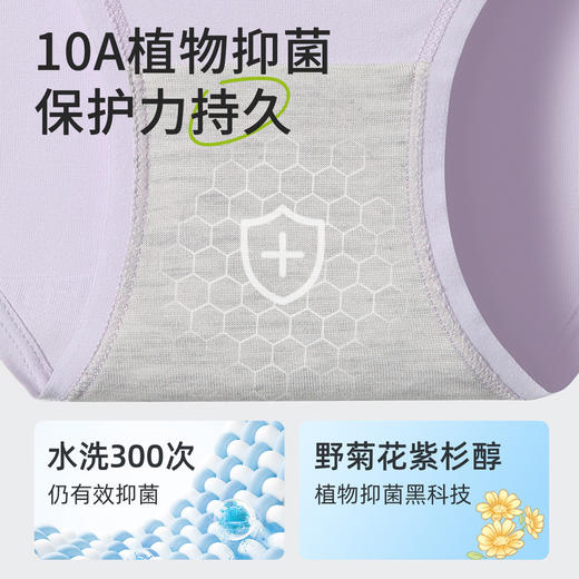 春节不打烊【天然榉木纤维❗️亲肤透气不闷汗】初中生内裤青少年少女学生发育期莫代尔透气中腰三角裤。jc 商品图1